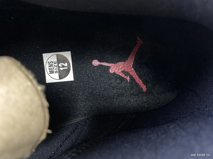 Chep Onekick TORO GYM RETRO RED AIR JORDAN 487471-006 14 0713
